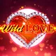 Winer game id