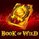 Winer game id